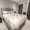 Photo 4: Second bedroom