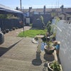Photo 4: Tidy and spacious garden