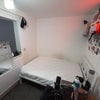 Photo 8: Single room