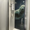 Photo 8: Shower Room