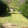 Photo 3: Garden
