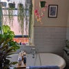 Photo 5: bathroom