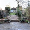 Photo 9: Sunny Garden
