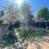 Photo 7: Garden or Patio