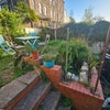 Photo 5: Garden