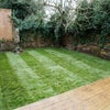 Photo 7: Garden