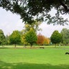 Photo 12: Clissold Park