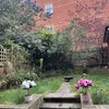 Photo 9: Garden
