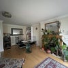 Photo 5: Dining area + indoor Jungle