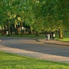 Photo 7: Finsbury Park (across the road)