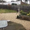 Photo 7: Garden or Patio