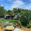 Photo 4: Garden 
