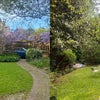 Photo 8: Front/Back Garden