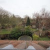 Photo 6: rear garden view 