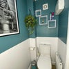 Photo 6: Downstairs toilet 