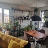 Photo 5: Living room and kitchen/dinning room
