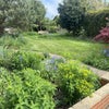 Photo 6: Garden 