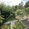 Photo 7: Garden