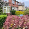 Photo 5: Front Garden