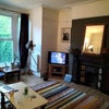 Photo 3: Front room ( yes thats bob dylan on the telly)