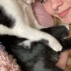Photo 7: My cat Pierre who also wont be moving 