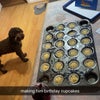 Photo 4: The cakes i made for my dog cookie on our birthday 