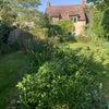 Photo 7: In the garden looking back at the house 