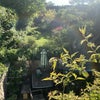 Photo 8: View from bedroom 