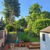 Photo 7: Garden