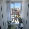 Photo 7: Balcony - french windows
