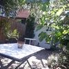 Photo 9: Back garden 