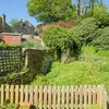Photo 6: Garden