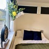 Photo 4: Large Windows allowing light