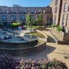 Photo 9: Courtyard View