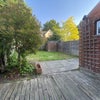 Photo 8: South facing garden