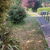 Photo 7: Front garden 