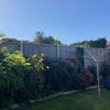 Photo 4: Garden