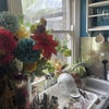 Photo 9: Kitchen