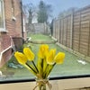 Photo 5: Garden View