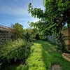 Photo 7: Garden