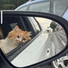 Chigbo\'s picture