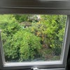 Photo 3: View of the garden