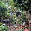 Photo 6: Garden
