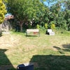 Photo 2: Back garden