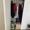 Photo 5: Inbuilt wardrobe and storage 