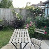 Photo 7: Roses in bloom, tranquil garden