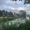 Photo 8: view from towpath