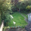 Photo 7: garden
