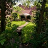 Photo 6: An English summer garden!