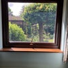 Photo 4: View from the bedroom window 